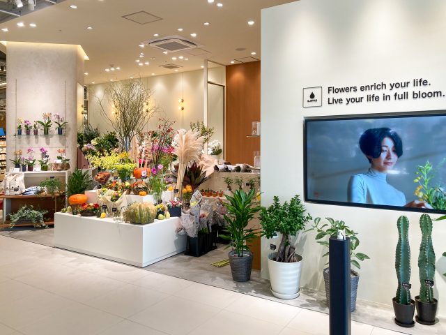 D.STYLE JIYUGAOKA de aeon